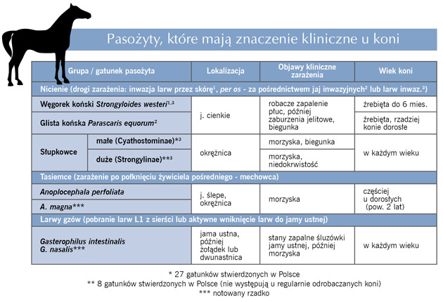 Related image